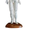 DYTAH Human Acupuncture Model for Practice and Teaching view 4