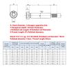 12.9-Grade Hex Socket Roller-Bearing Shoulder Screw with Bearing Cap, 40 mm, M20 × M16 (1 pc) view 2