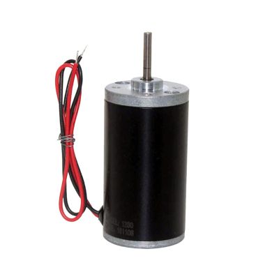 ICAMAS 31ZY Permanent-Magnet DC Motor, Micro High-Torque, Forward/Reverse, High-Speed, 12V/24V (Size: 5000, Color: 12VDC)