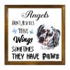 Luckluccy Framed Wooden Sign with "Angels Don't Always Have Wings, Sometimes They Have Paws" for Home, Children's Room, and Bedroom, 7 x 7 in view 1