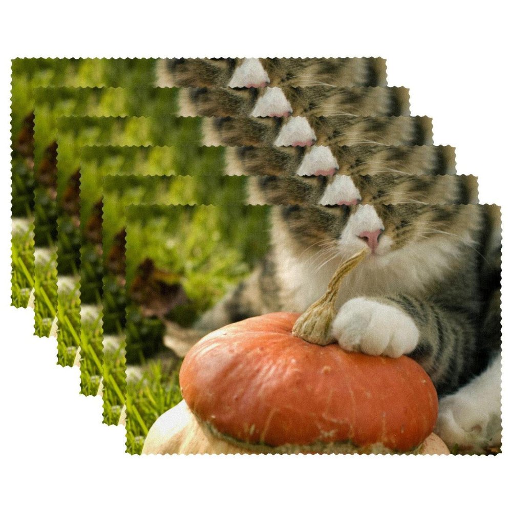 Fabric Placemats, Washable, Set of 6, Autumn Cats and Pumpkins