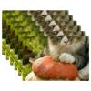Fabric Placemats, Washable, Set of 6, Autumn Cats and Pumpkins view 1