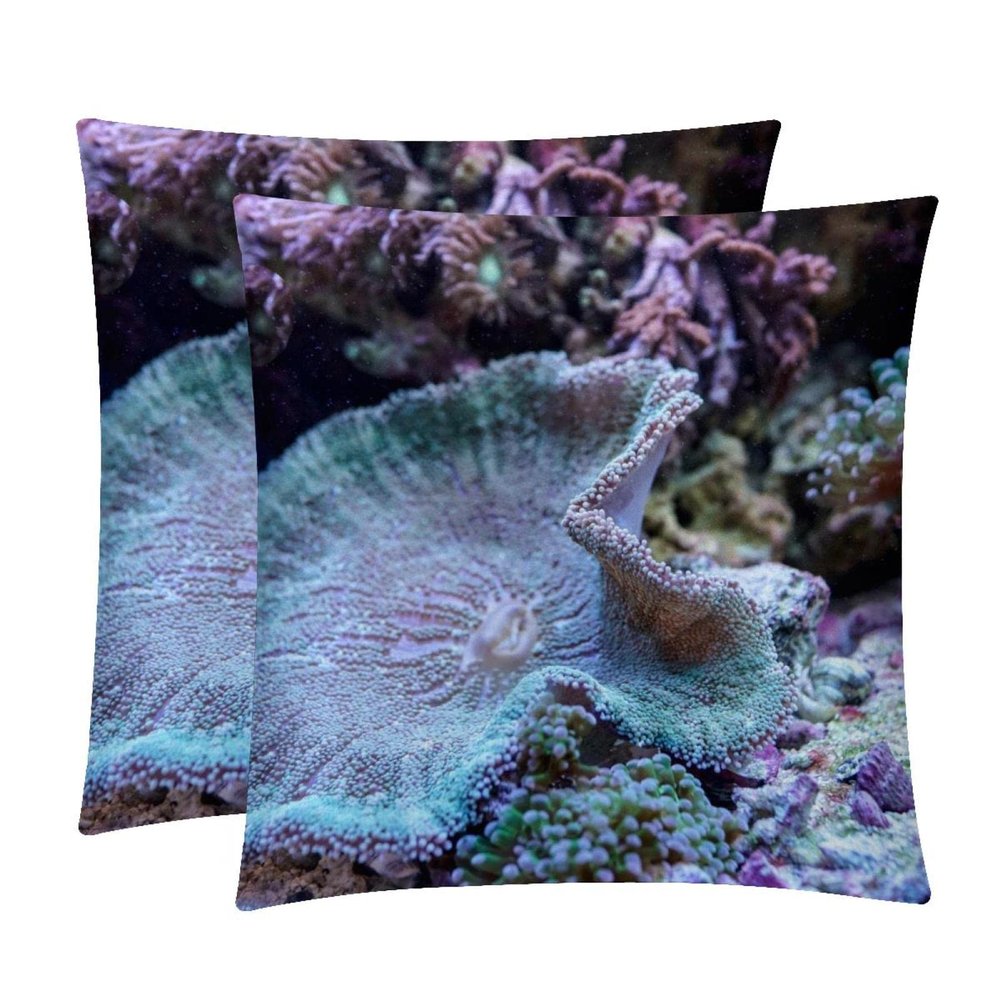 TBOUOBT Pack of 2 Velvet Pillow Covers, Square, Marine Life Coral