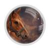 TBOUOBT 4-Piece Cabinet and Drawer Knobs, Horse Artwork view 1