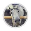 TBOUOBT 4-Piece White Horse Cabinet Knobs view 1