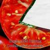 TBOUOBT Fleece Blanket, Decorative for Bedroom, Sofa, or Floor, Tomato and Cucumber Design view 3