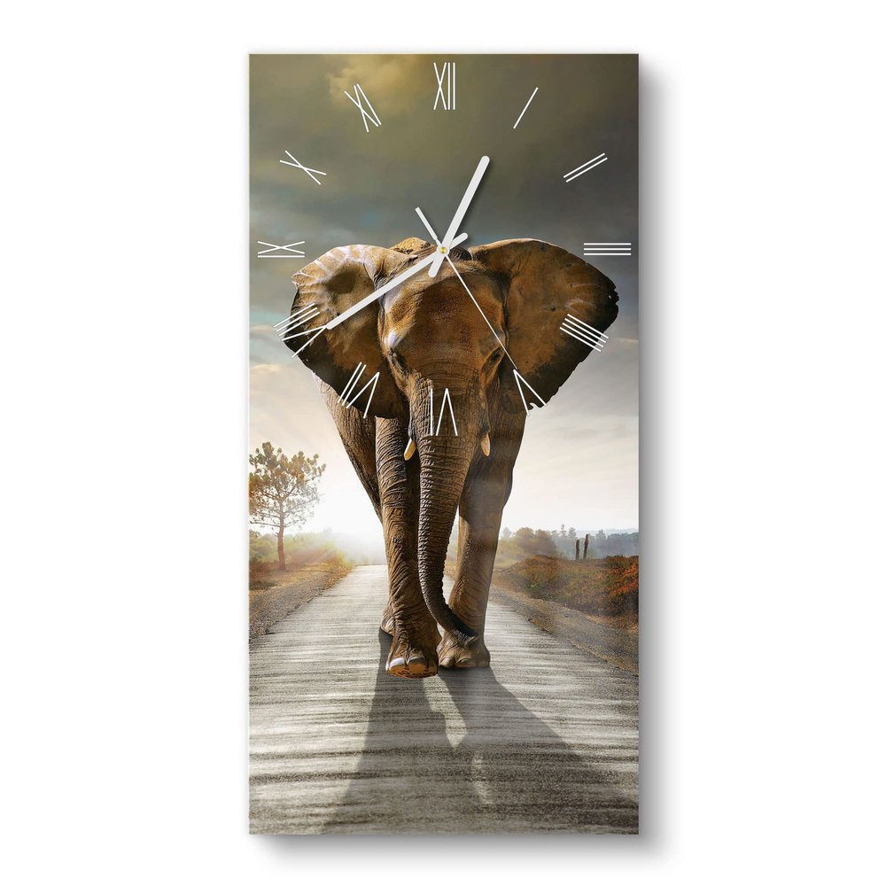 DEQORI Glass Wall Clock, Horizontal 30 x 60 cm, Elephant on Asphalt, XXL Design