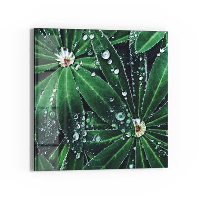 DEQORI Real Glass Picture | Water Droplet Design | Square, One-Piece, 30 x 30 cm | Decorative Wall Art for Living Room, Bedroom, Hallway & Kitchen