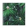 DEQORI Real Glass Picture | Water Droplet Design | Square, One-Piece, 30 x 30 cm | Decorative Wall Art for Living Room, Bedroom, Hallway & Kitchen view 2