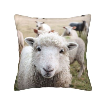 Cute Sheep-Lamb Pillow, Square and Soft, for Couch, Bedroom, Sofa, Living Room, Bed, or Chair