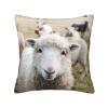 Cute Sheep-Lamb Pillow, Square and Soft, for Couch, Bedroom, Sofa, Living Room, Bed, or Chair view 1