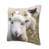 Cute Sheep-Lamb Pillow, Square and Soft, for Couch, Bedroom, Sofa, Living Room, Bed, or Chair view 3