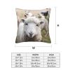 Cute Sheep-Lamb Pillow, Square and Soft, for Couch, Bedroom, Sofa, Living Room, Bed, or Chair view 4