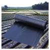 Black Agricultural Mulch Film, 0.8 m x 30 m, 0.01 mm Thick view 2