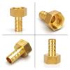 Artemisia Brass Hose Barb Adapter, 8 mm to 1/4 in. BSP Male view 4