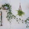 Happyyami Hanging Rattan Flower Pot, Rustic Farmhouse Planter Basket view 2