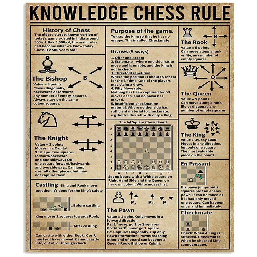 IUBBKI Knowledge Chess Rule Computer Programming Knowledge Retro Vintage Tin Sign for Infographics, Metal Sign Poster for Bar, Café, School, 12 x 16 in