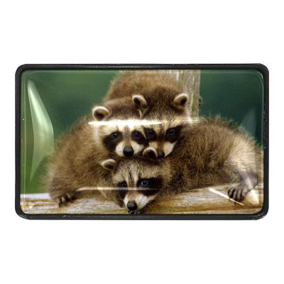 4-Piece Drawer Pull Set with Cute Raccoon Designs