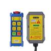 TPUOTI BD-B4S F21 Wireless Industrial Remote Control Switch, Waterproof, 1 Transmitter and 1 Receiver, AC 110V view 2