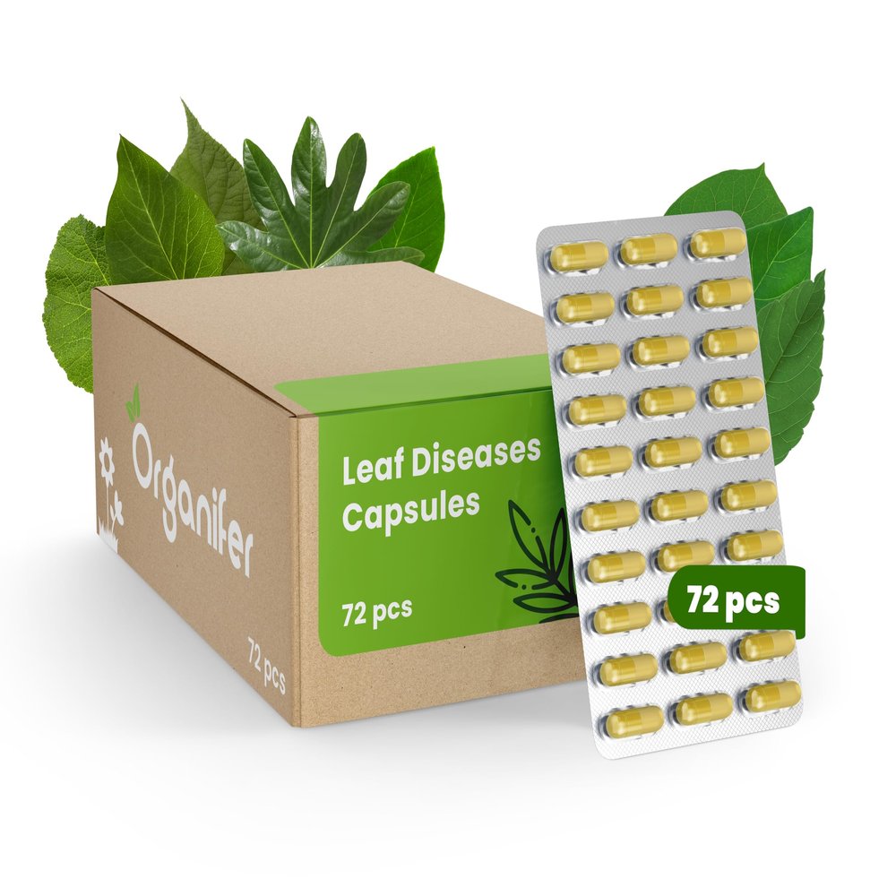 Leaf Capsules - 72 Count