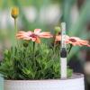YARNOW Water Level Indicators for Potted Plants, 36 cm, 2-Pack view 2