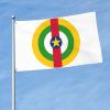 Central African Republic Roundel 3 x 5 ft Patio Garden Flag, Indoor Decoration, Single-Sided Print view 2