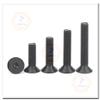 2-Piece M10 x 80 mm Class 10.9 Black Alloy Steel Flat Countersunk Hex Socket Screws view 4