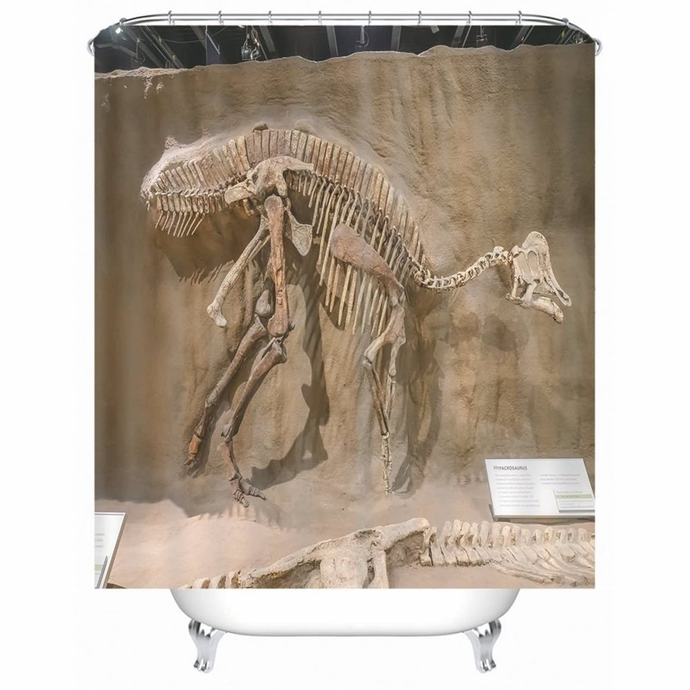 Stfery Dinosaur Skeleton Shower Curtain, Brown, 36 x 72 in