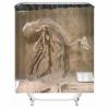 Stfery Dinosaur Skeleton Shower Curtain, Brown, 36 x 72 in view 1