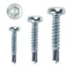 Self-Drilling Screws 2.9–6.3, Galvanized Steel, DIN 7504 N, Self-Tapping, Pan Head, TX Torx (1,000, 4.2 x 19 mm) view 1