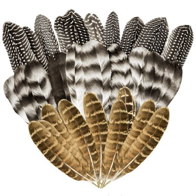 30 Natural Turkey Feathers, 5.3–7-Inch Craft Feathers, Mixed Pheasant Feathers for Arts and Crafts, Carnival Costume, Feather Masks, Weddings and Parties