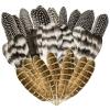 30 Natural Turkey Feathers, 5.3–7-Inch Craft Feathers, Mixed Pheasant Feathers for Arts and Crafts, Carnival Costume, Feather Masks, Weddings and Parties view 1