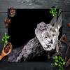 DarHaus 70 x 52 cm Glass Stove Cover, Crystal Black view 3
