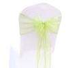 Egurs Organza Chair Sashes, 18 x 275 cm, Grass Green, 15-Pack view 1