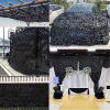 DGSFES Black Camouflage Net with Sun Protection, 4 x 4 m view 4