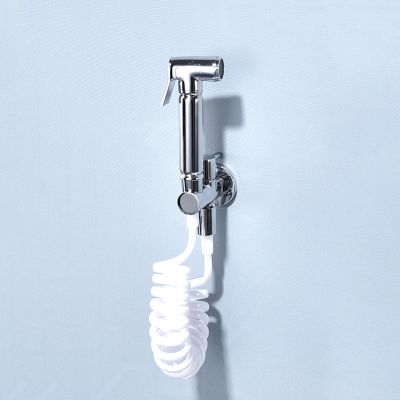 Wall-Mounted Chrome Bidet Sprayer Kit with Spring Hose