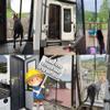 Magnetic Fly Screen Door 150 x 250 cm, Self-Closing Mosquito Net Curtain for Doors and Patios, Foldable, Black view 4