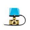 Motorized 3-Way Brass Ball Valve, 24 VDC Normally Open, 1.25 in, 2-Wire view 2