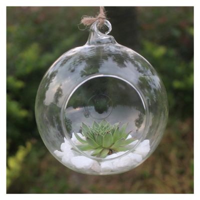 SISWIM Hanging Glass Planter Vase, Spherical Pot, Large