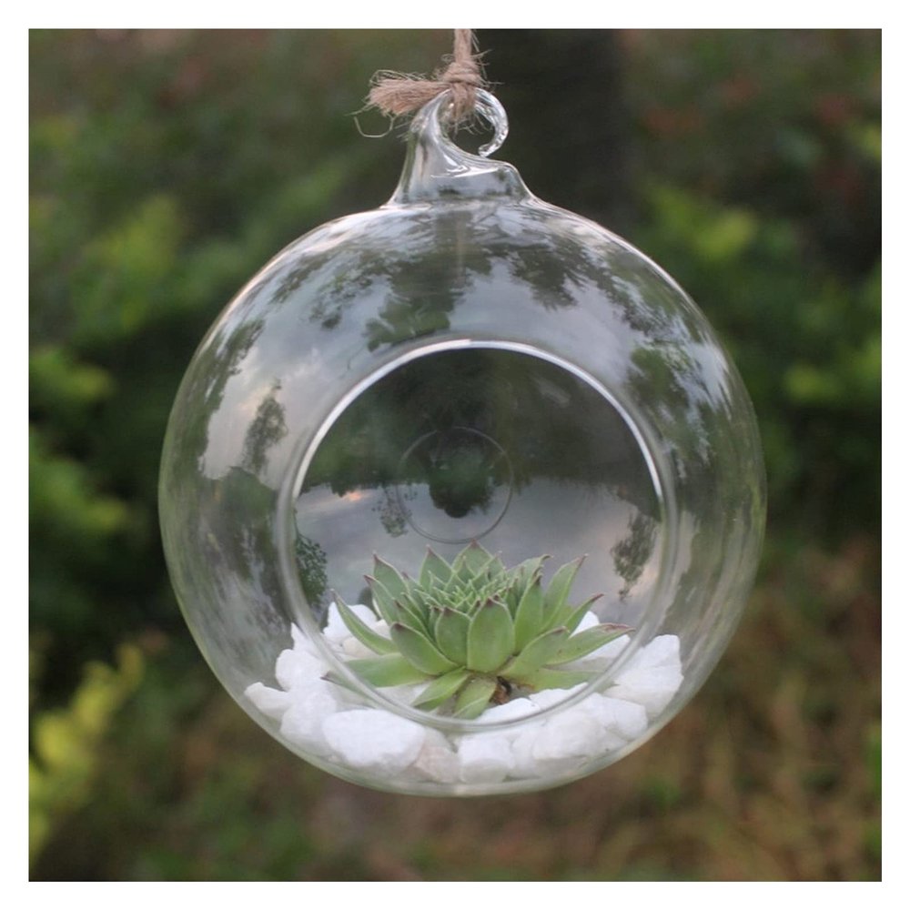 SISWIM Hanging Glass Planter Vase, Spherical Pot, Large