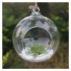 SISWIM Hanging Glass Planter Vase, Spherical Pot, Large view 1