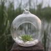 SISWIM Hanging Glass Planter Vase, Spherical Pot, Large view 2