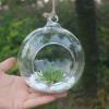 SISWIM Hanging Glass Planter Vase, Spherical Pot, Large view 3