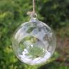 SISWIM Hanging Glass Planter Vase, Spherical Pot, Large view 4
