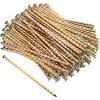 100 Galvanized Spiral Landscape Stakes, 6 in view 1