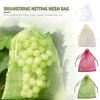 EVANEM 50-Piece Fruit Protection Bags, Garden Netting Bags, Strawberry Bags, Mesh Grape Bags with Drawstrings (White, 9 x 7 cm) view 3