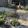 RADAAB Freestanding Obelisk Plant Support Trellis for Roses and Climbing Plants, Weather-Resistant, 120 cm/47 in, Black view 4