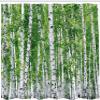 REBELA 3D Shower Curtain, Birch Forest, 180 x 200 cm, Waterproof, Mildew-Resistant view 2