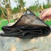 Heavy-Duty Waterproof PVC Tarp with Eyelets, Transparent, 3 x 4 m view 2