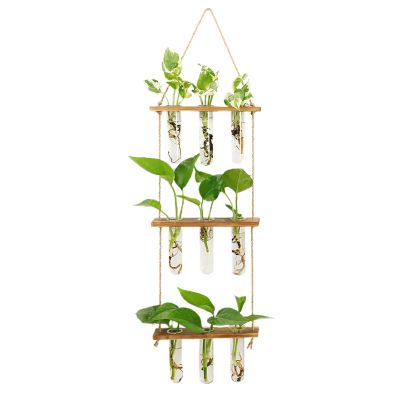 Pcscevcr Wall-Hanging Planter, 3 Tiers, Test Tube Propagation Station with Wood Stand, Glass Planter Vase for Home, Garden, and Decor (Brown)